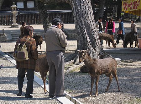 Kofuku-ji-Tempel in Nara, Japan