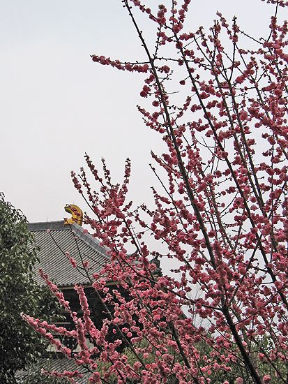 Todai-ji-Tempel in Nara, Japan