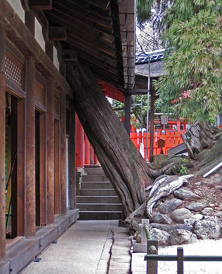 Kasuga-Schrein in Nara, Japan