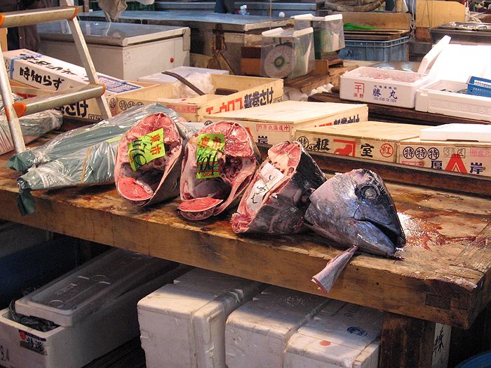 Fischmarkt in Tokyo, Japan