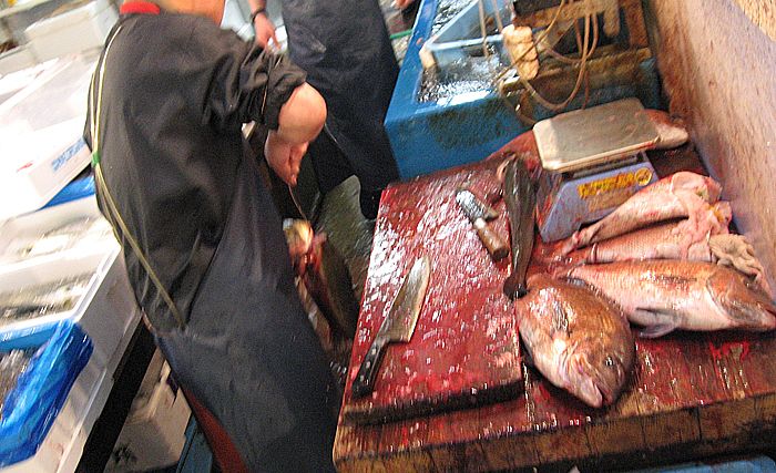Fischmarkt in Tokyo, Japan