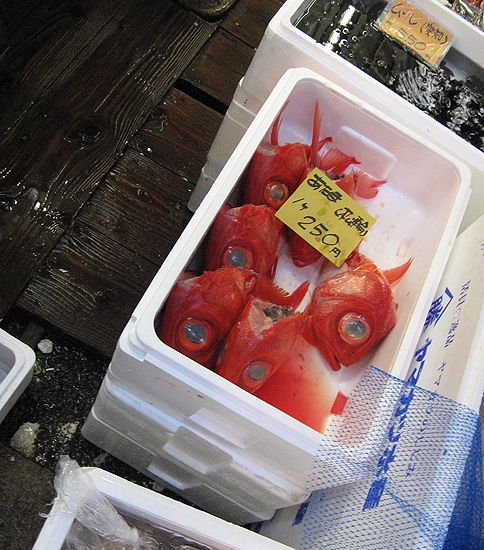Fischmarkt in Tokyo, Japan